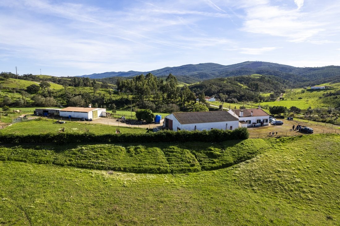 Finca in S.Teotónio, Beja District, Portugal 1 - 16392697