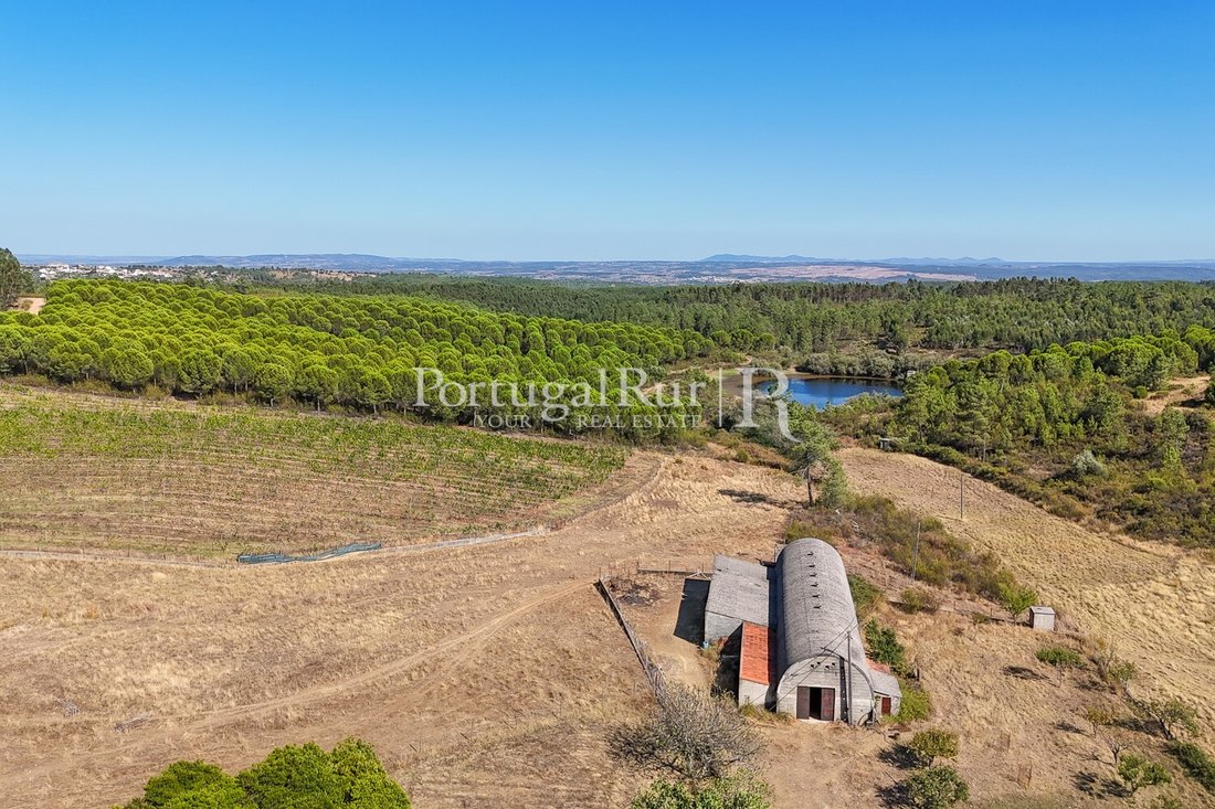 Estate in Benquerencas, Castelo Branco District, Portugal 5 - 14610856