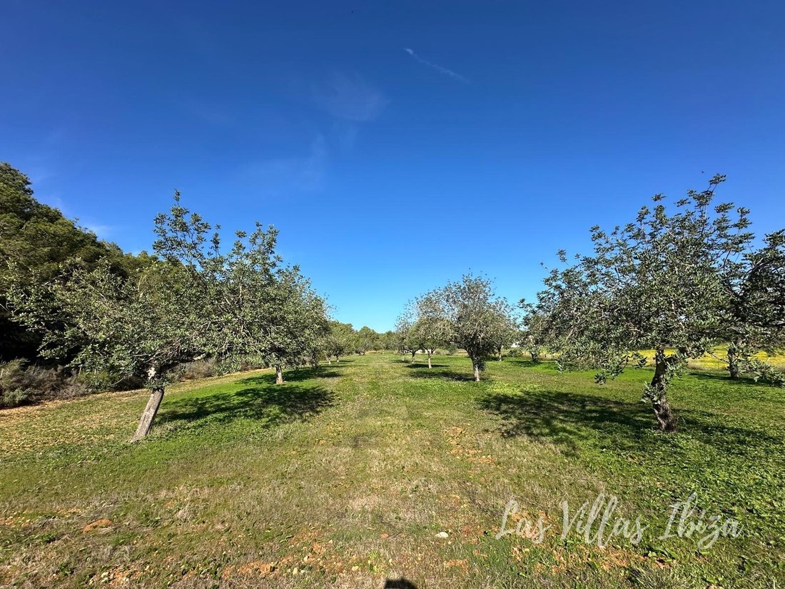 Land in Santa Gertrudis de Fruitera, Santa Eularia des Riu, Balearic Islands 3 - 16678326