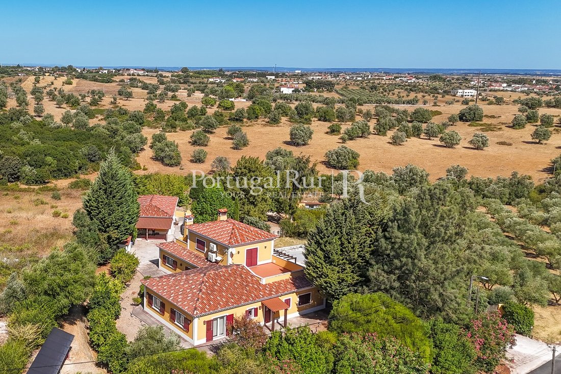 Finca in Romeira e Varzea, Santarem District, Portugal 3 - 16279284