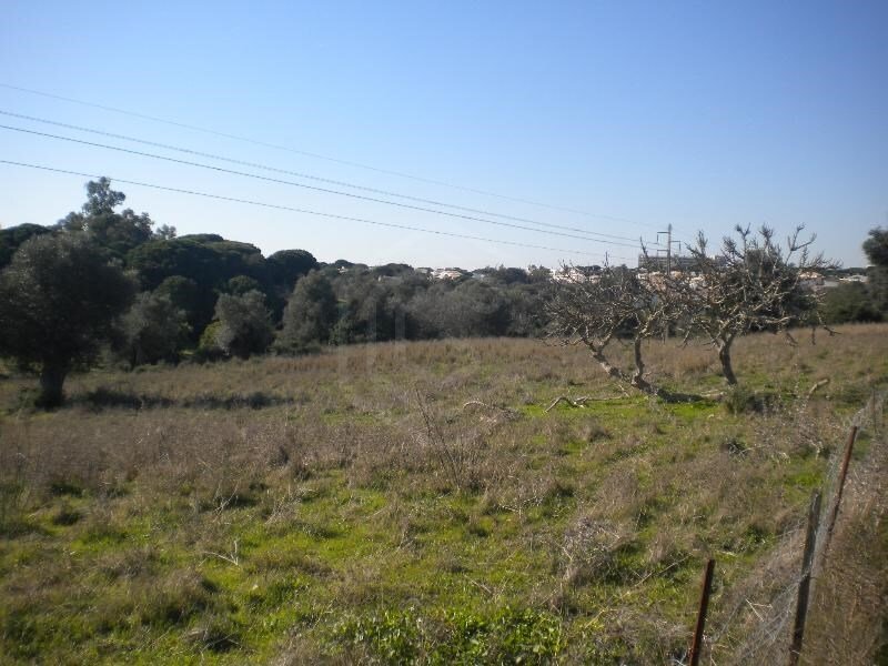 Finca in Olhos de Agua, Algarve, Portugal 4 - 14342545