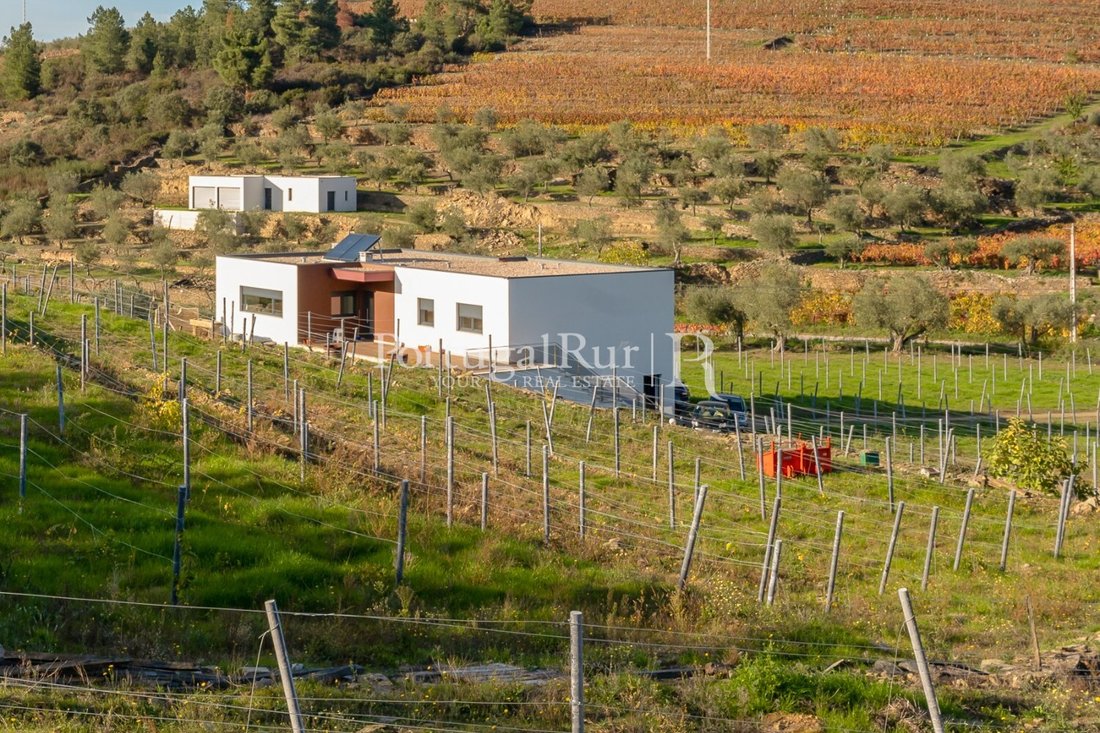 Finca in Barcos e Santa Leocadia, Viseu District, Portugal 4 - 14948848