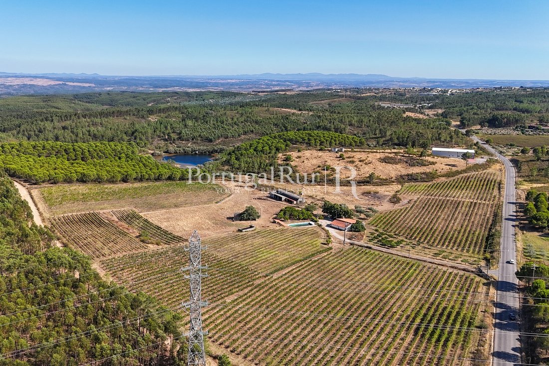 Estate in Benquerencas, Castelo Branco District, Portugal 1 - 14610856