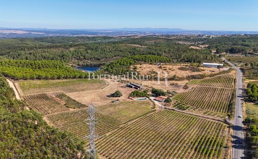 Finca en Benquerenças, Distrito de Castelo Branco, Portugal 1