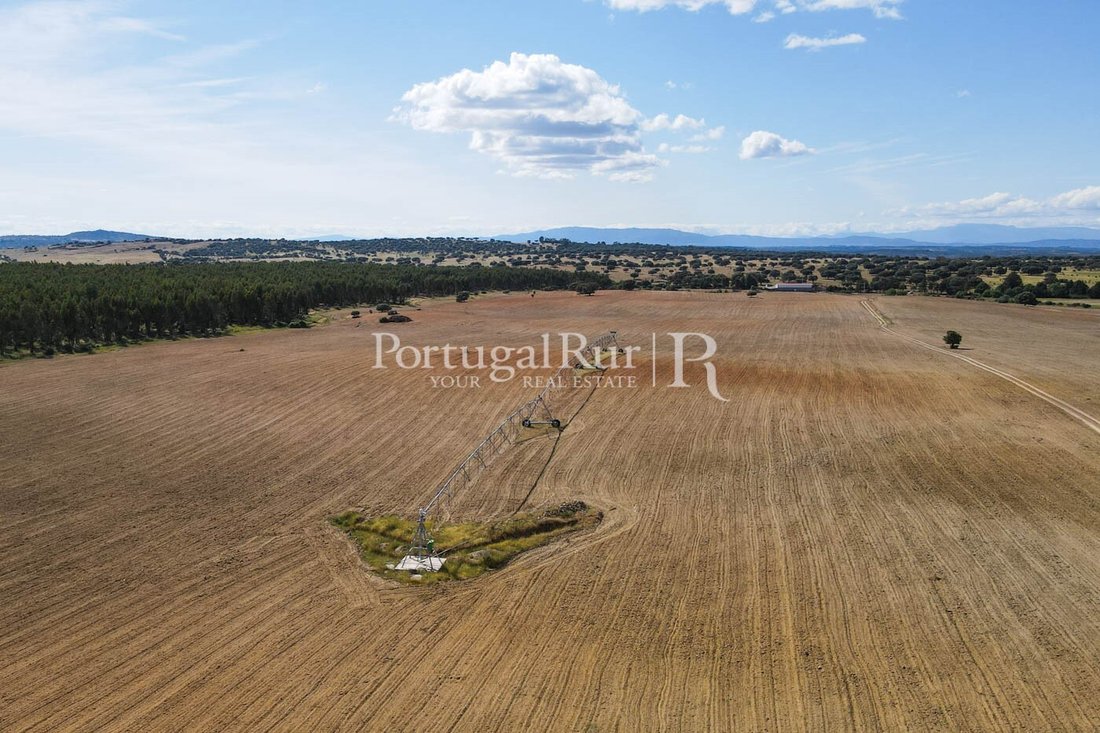 Estate in Idanha-a-Nova e Alcafozes, Castelo Branco District, Portugal 3 - 14876596