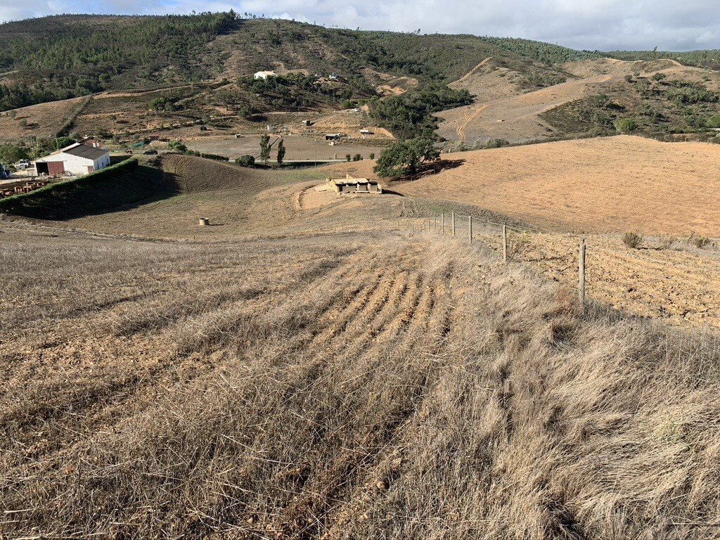 Finca in S.Teotónio, Beja District, Portugal 5 - 16392697