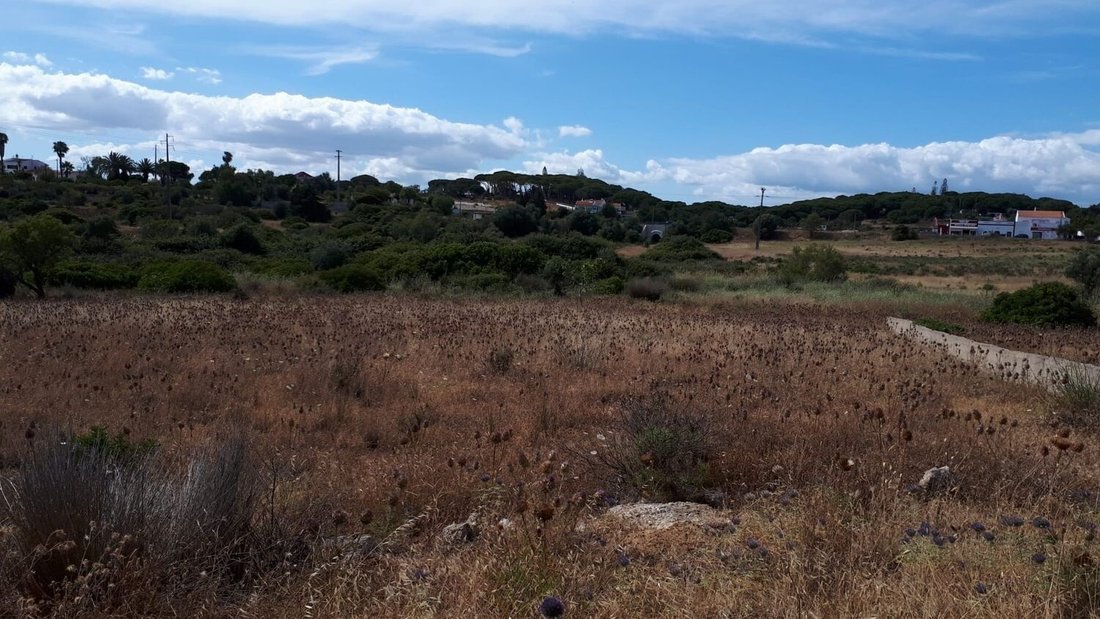Land in Porches, Algarve, Portugal 4 - 14154262