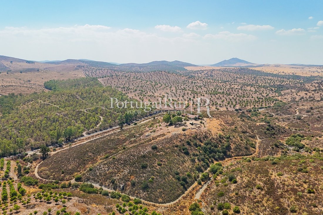Finca in Albernoa e Trindade, Beja District, Portugal 3 - 16104260