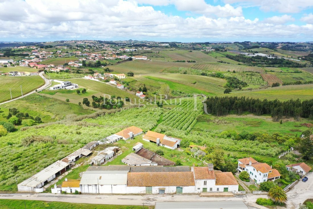 Finca in Carvide, Leiria District, Portugal 4 - 12795937