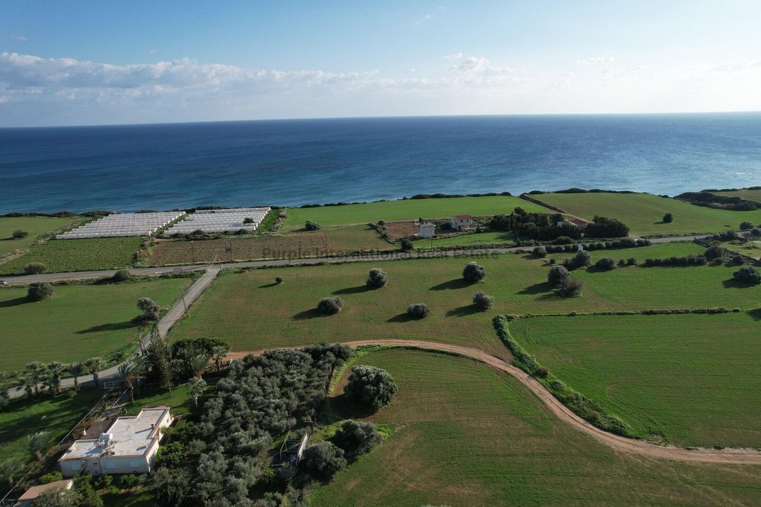 Agios Theodoros, Larnaca, Cyprus 5 - 16712283