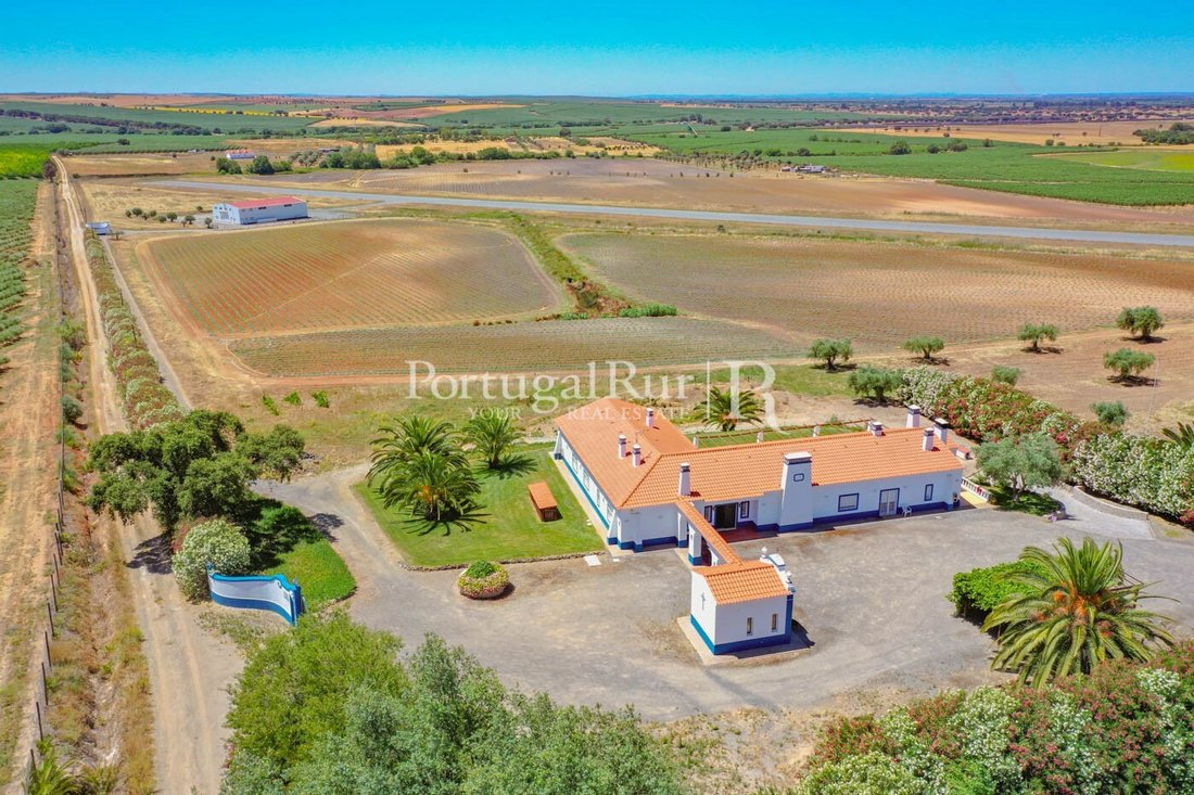 Estate in Ferreira do Alentejo e Canhestros, Beja District, Portugal 3 - 14864336