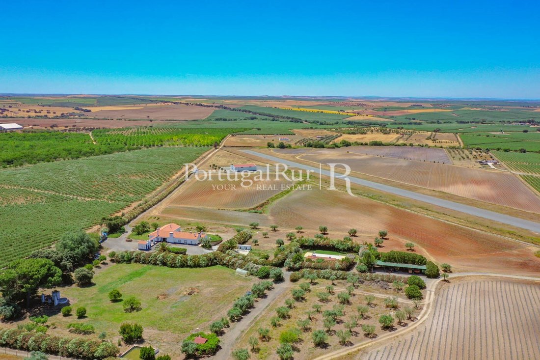 Estate in Ferreira do Alentejo e Canhestros, Beja District, Portugal 5 - 14864336