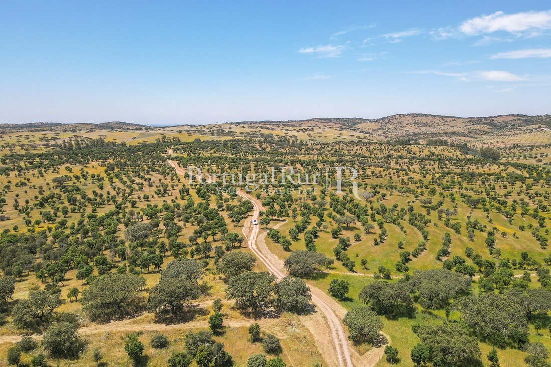 Land in Corval, Évora District, Portugal 2 - 15487088