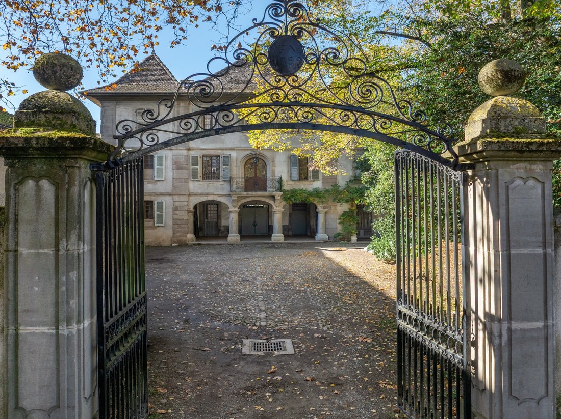 House in Douvaine, Auvergne-Rhône-Alpes, France 1 - 16713465