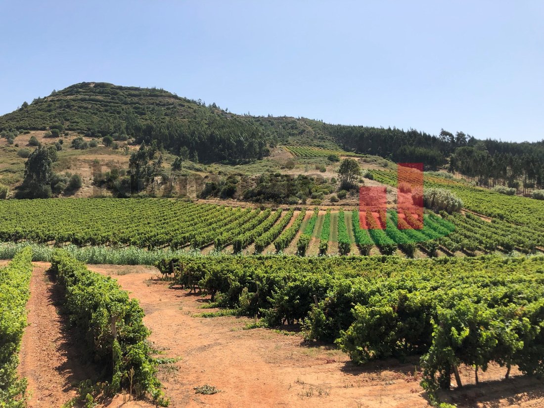 Land in Alcoentre, Lissabon, Portugal 3 - 12276209