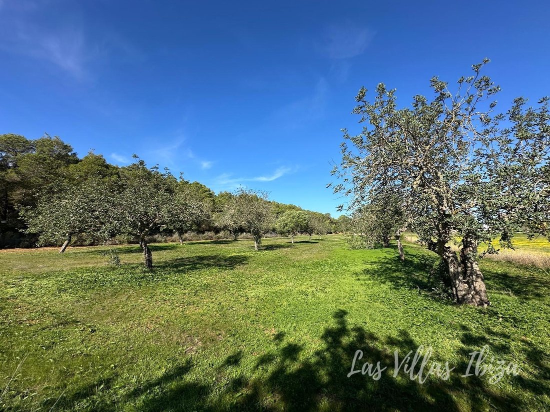 Land in Santa Gertrudis de Fruitera, Santa Eularia des Riu, Balearic Islands 2 - 16678326