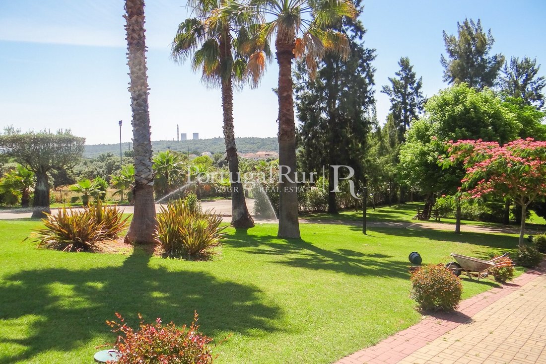 Finca in Abrantes (Sao Vicente e Sao Joao) e Alferrarede, Santarem District, Portugal 3 - 14454274