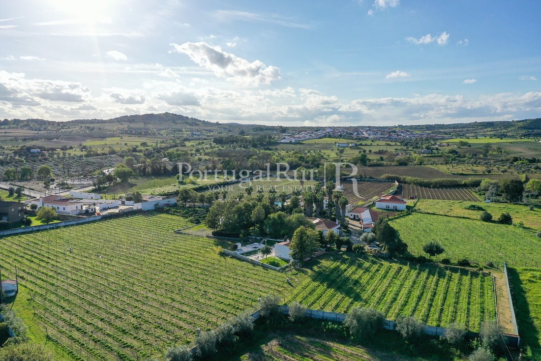 Finca in Vidigueira, Beja District, Portugal 2 - 14199530