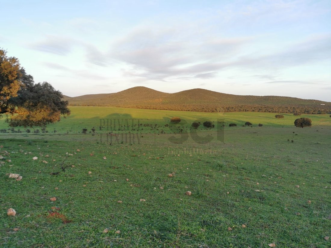 Land in Vila Verde de Ficalho, Beja District, Portugal 3 - 15306895