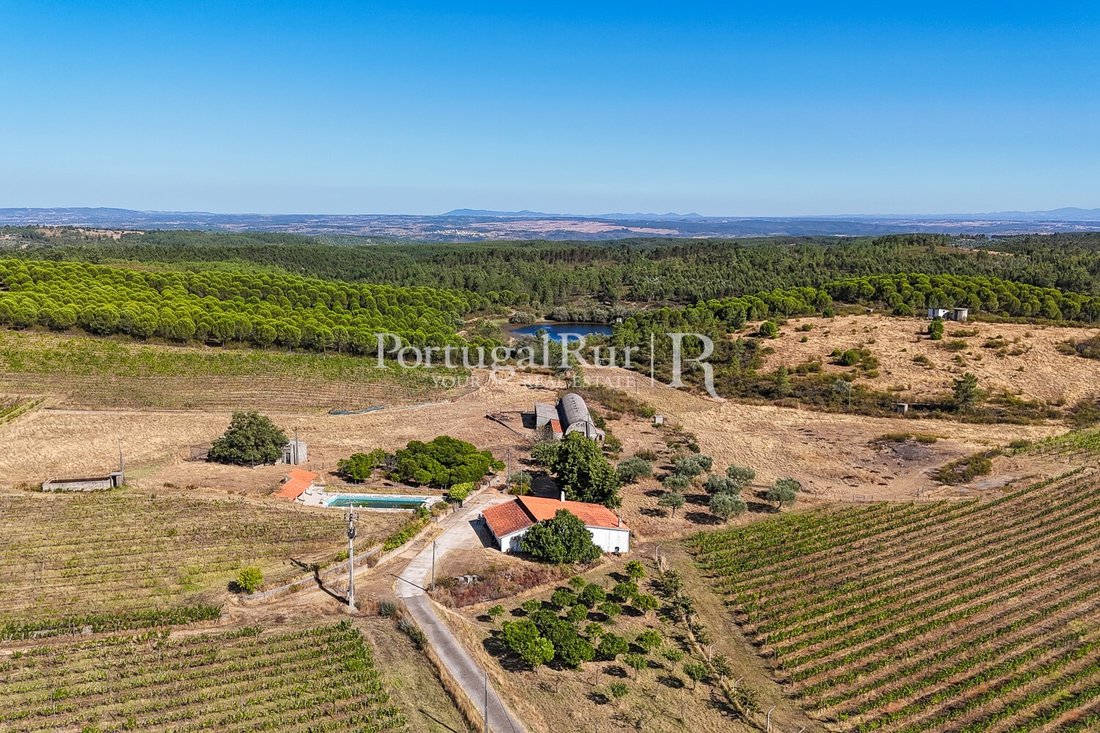 Estate in Benquerencas, Castelo Branco District, Portugal 2 - 14610856