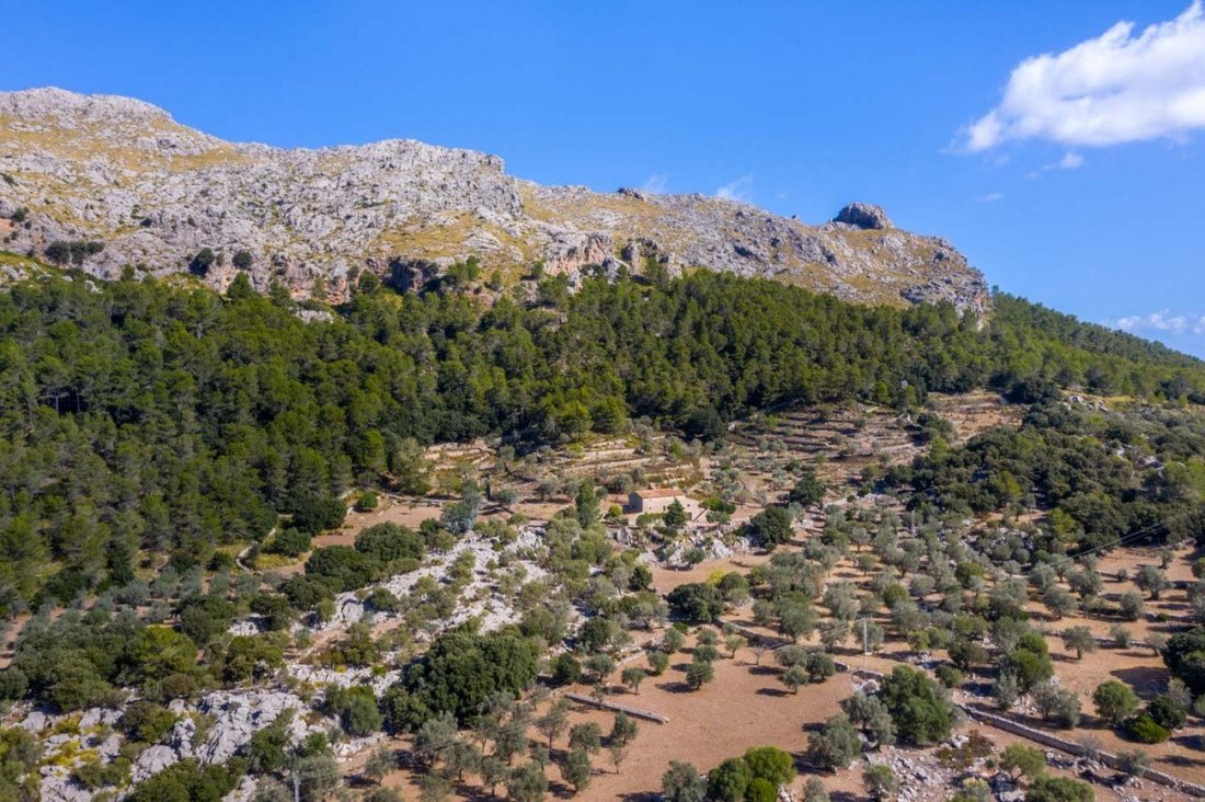 Country House in Escorca, Balearic Islands, Spain 5 - 11761649