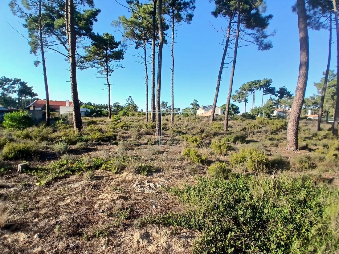 Land in Aroeira, Charneca de Caparica e Sobreda, Portugal 5 - 13039609