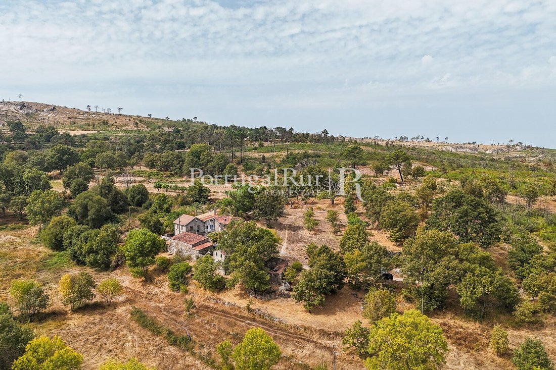 Estate in Guarda, Guarda District, Portugal 3 - 16563799