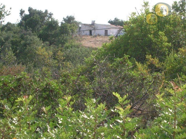 Land in Santa Barbara de Nexe, Algarve, Portugal 1 - 15711237