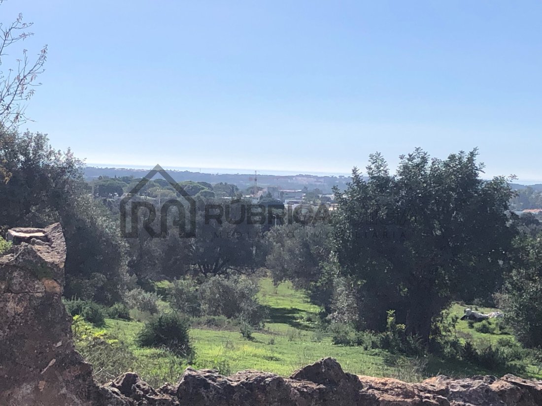 Land in Boliqueime, Algarve, Portugal 1 - 16704212