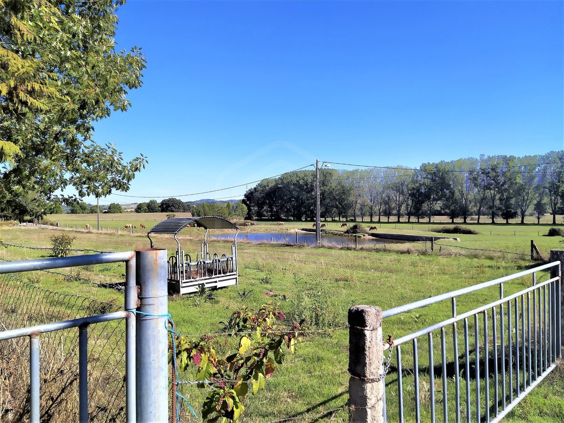 Finca in Boidobra, Castelo Branco District, Portugal 5 - 14342404