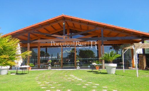 Finca in Abrantes (Sao Vicente e Sao Joao) e Alferrarede, Santarem District, Portugal 1