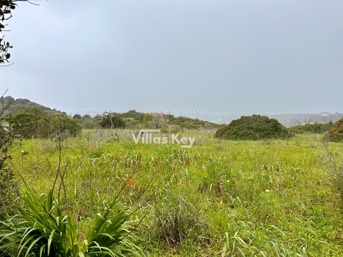 Land in Mexilhoeira Grande, Algarve, Portugal 4 - 15077507