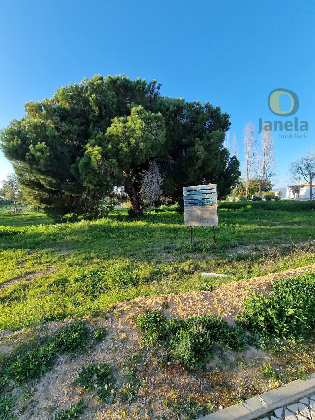 Land in Montenegro, Algarve, Portugal 3 - 15711242