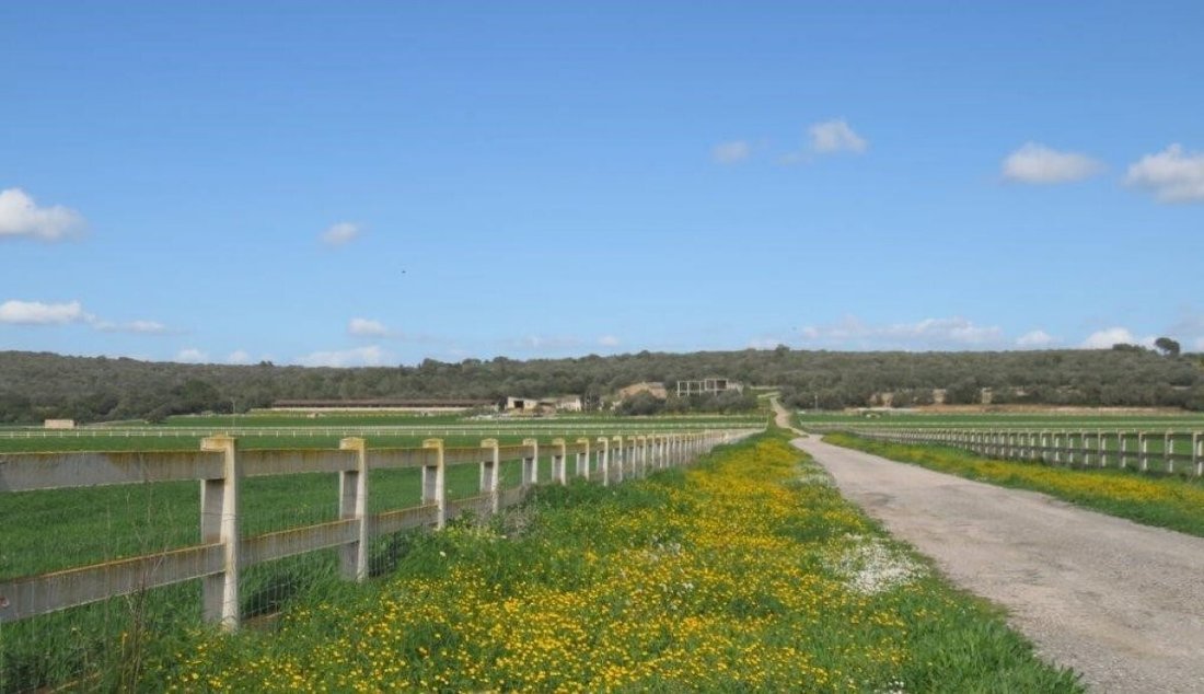 Country House in Campos, Balearic Islands, Spain 1 - 11761308
