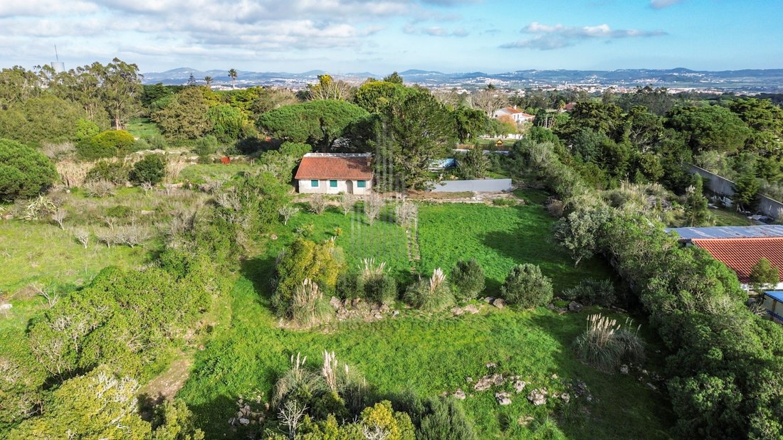 Land in Sintra, Lisbon, Portugal 4 - 15188975