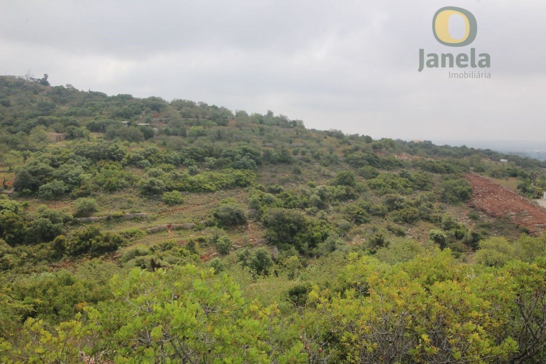 Land in Estoi, Algarve, Portugal 1 - 15711239