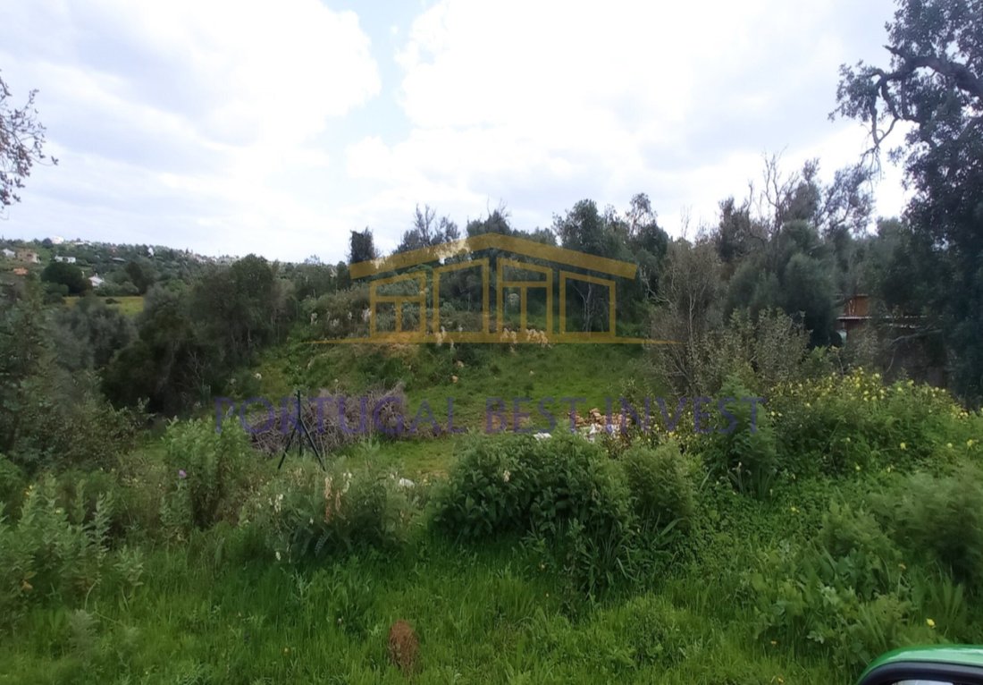 Land in Guia, Algarve, Portugal 3 - 12274896