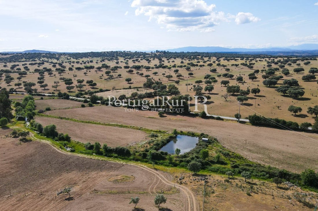 Estate in Idanha-a-Nova e Alcafozes, Castelo Branco District, Portugal 4 - 14876596