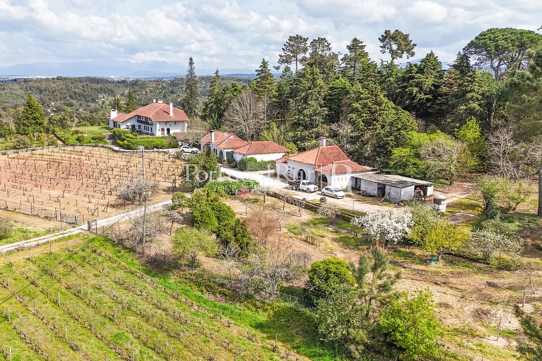 Finca in Tabua, Coimbra District, Portugal 1 - 15474641