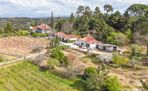 Finca à Tábua, District de Coimbra, Portugal 1