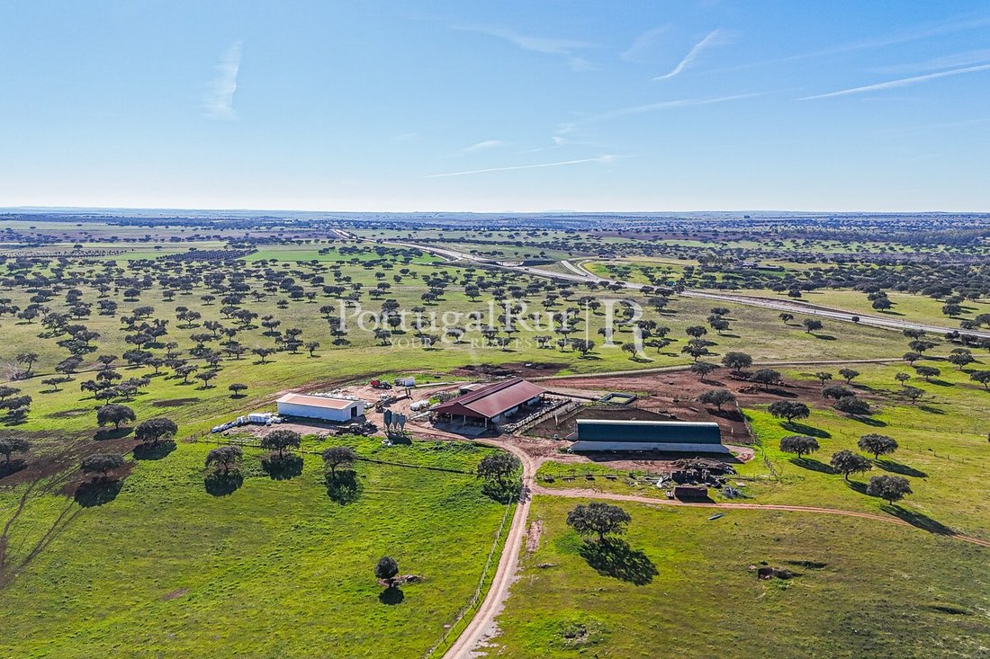 Estate in Beja (Salvador e Santa Maria da Feira), Beja District, Portugal 4 - 14869585