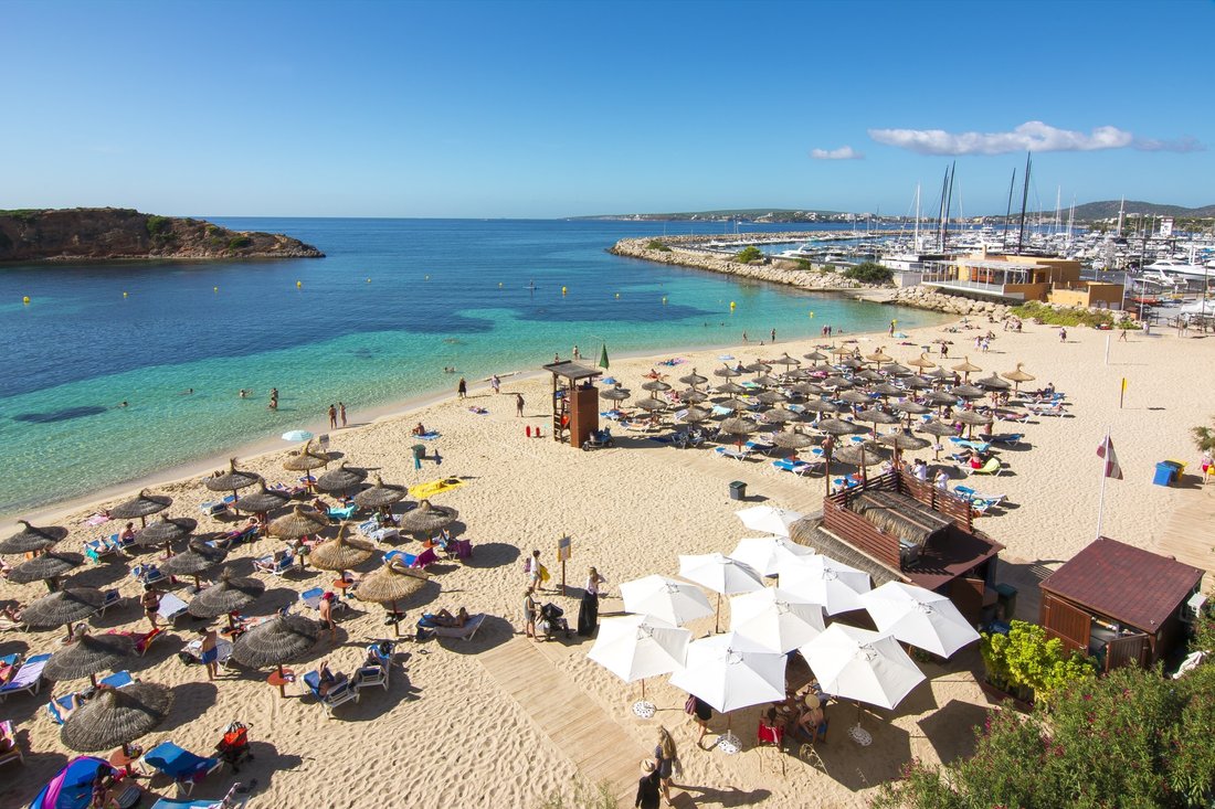 Apartment in Portals Nous, Calvia, Balearic Islands 2 - 16667989