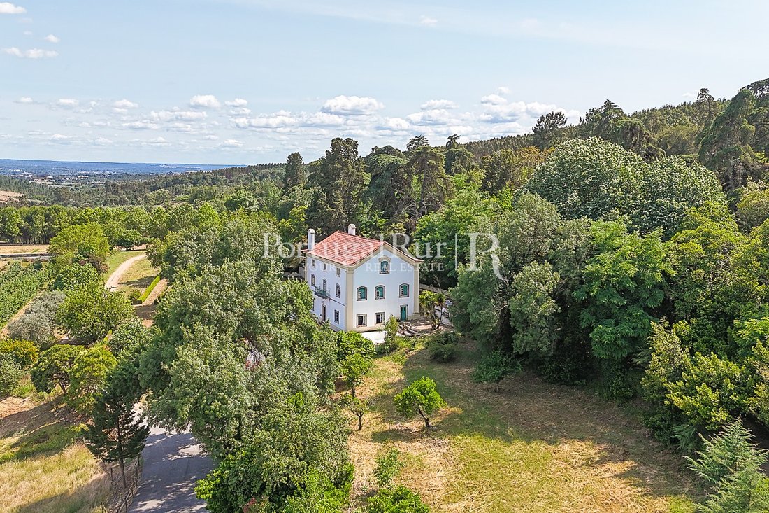 Estate in Constancy, Santarem District, Portugal 3 - 15929100