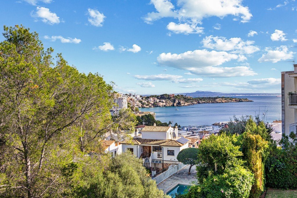 Apartment in Palma, Balearic Islands, Spain 1 - 16716450