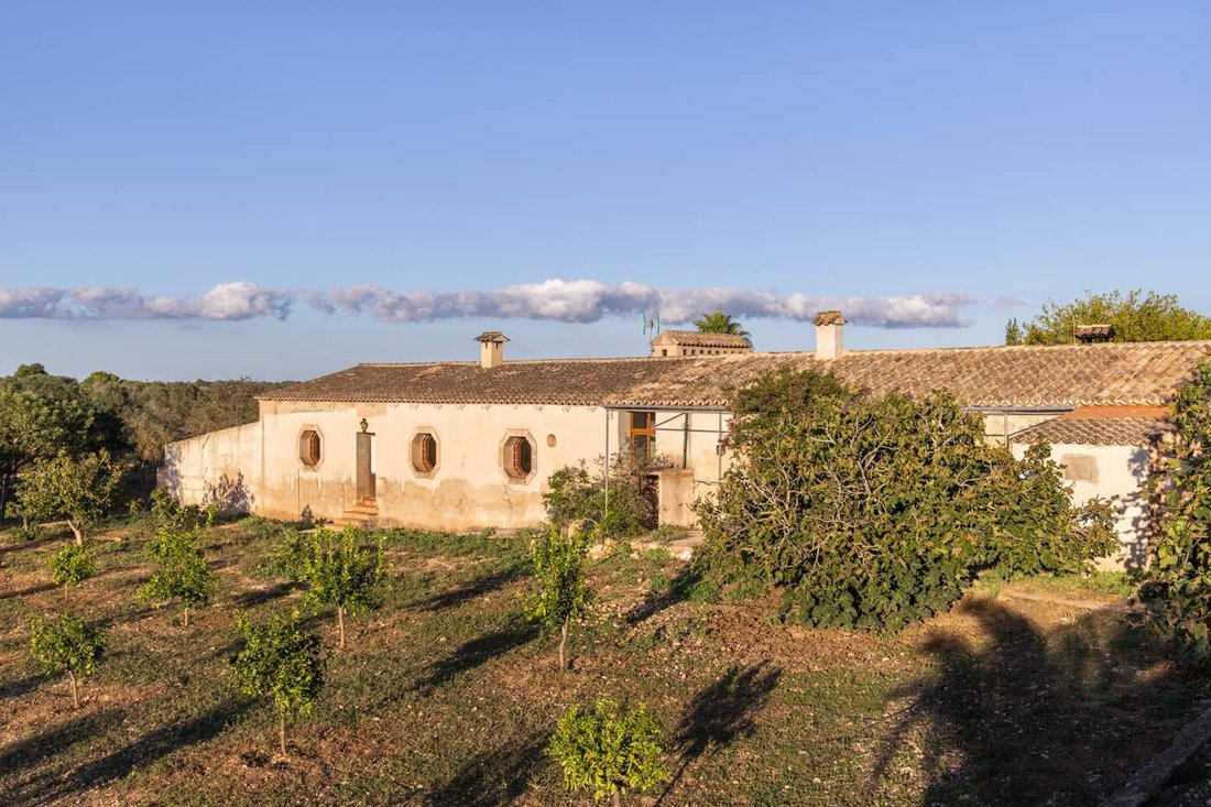 Country House in Palma, Balearic Islands, Spain 1 - 11803482