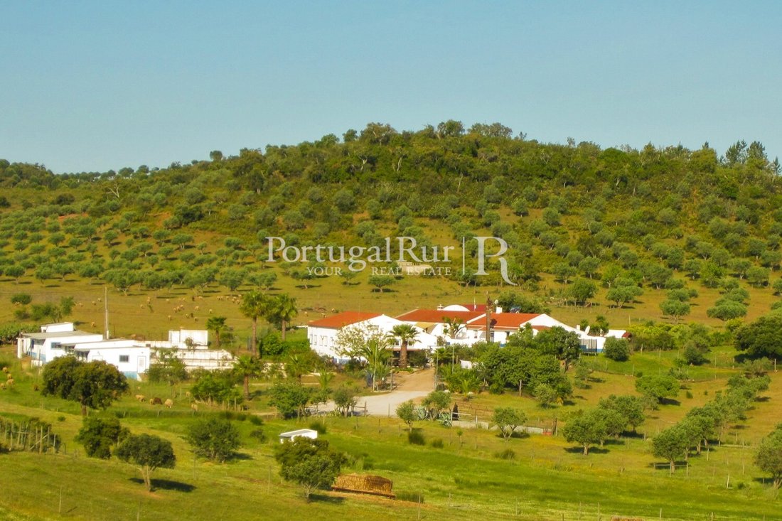 Estate in Sao Mancos e Sao Vicente do Pigeiro, Évora District, Portugal 2 - 10676976