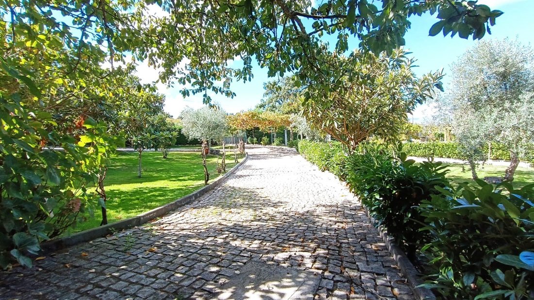 Finca in Telhado, Castelo Branco District, Portugal 3 - 14818973