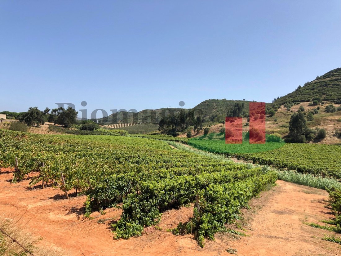 Land in Alcoentre, Lissabon, Portugal 5 - 12276209