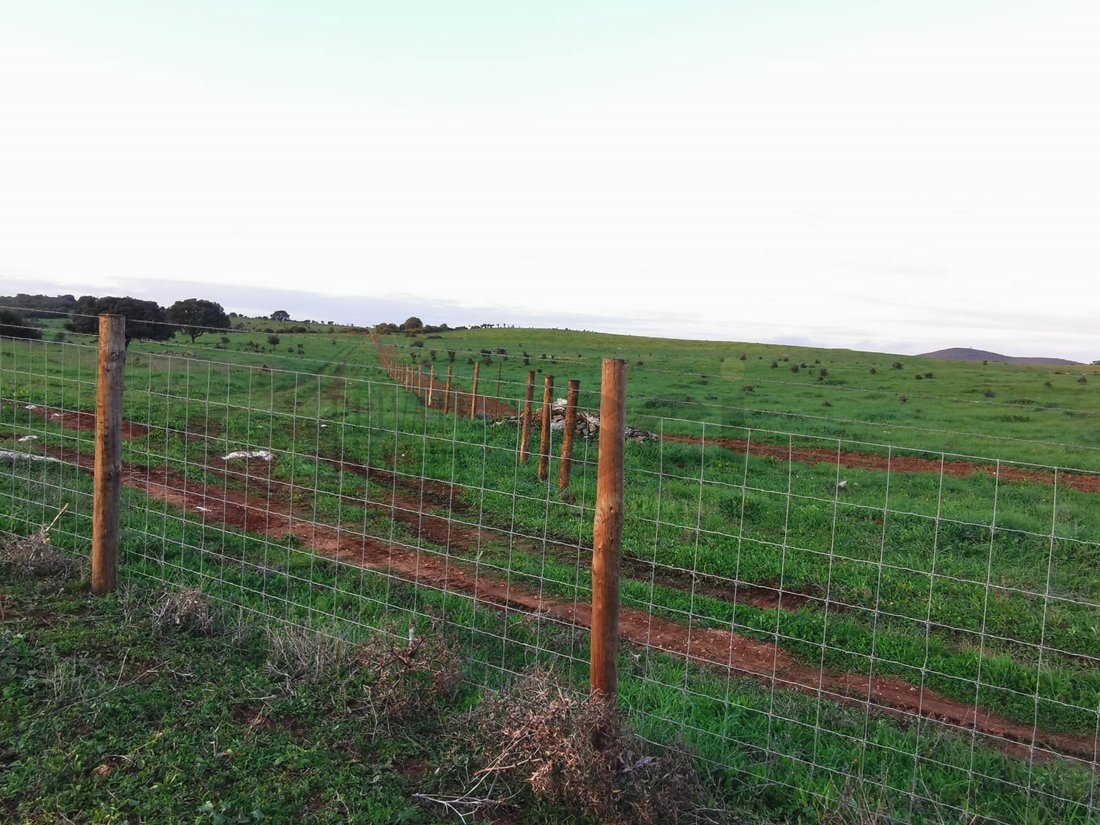 Land in Vila Verde de Ficalho, Beja District, Portugal 4 - 15306895