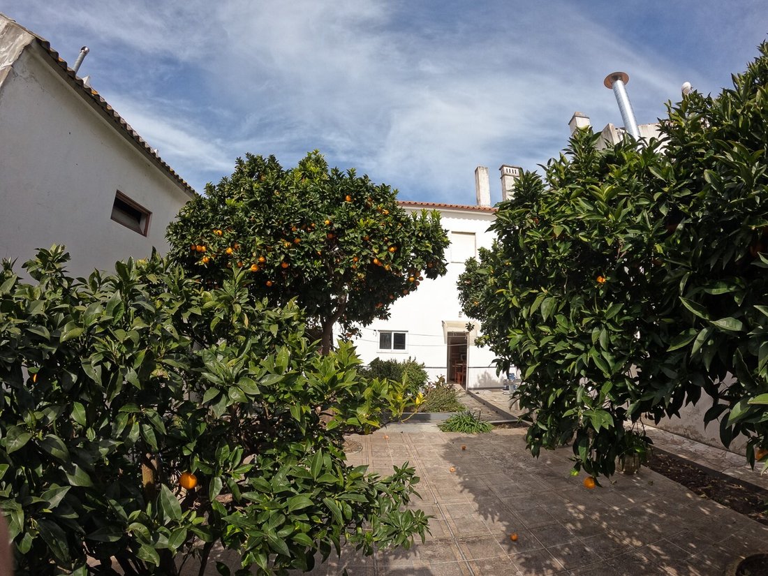 House in S.Teotónio, Beja District, Portugal 3 - 16392793